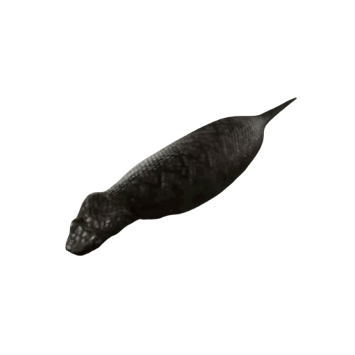 Tsuchinoko