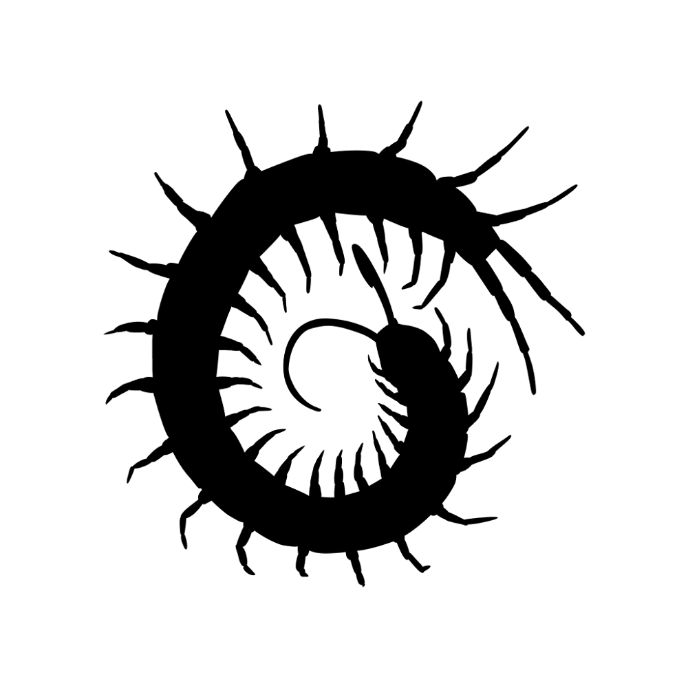 Centipede