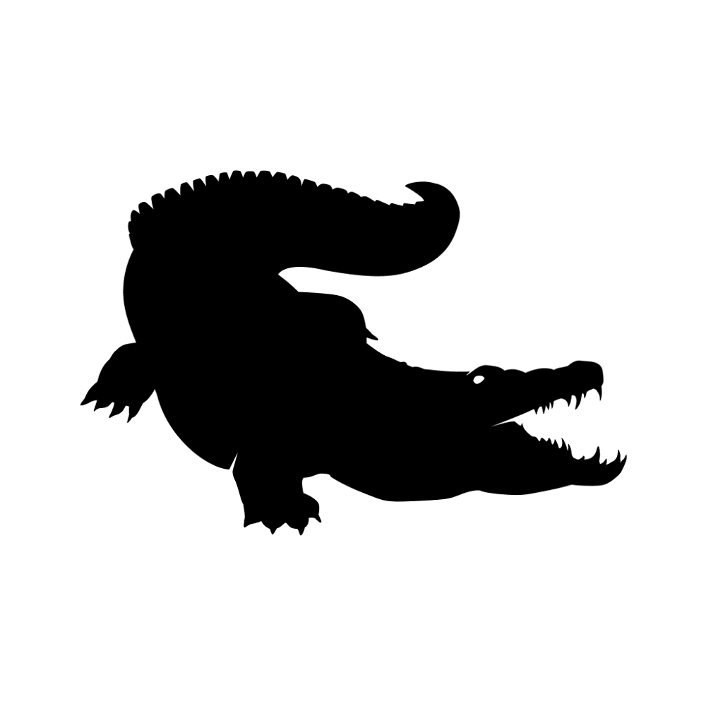 Crocodile