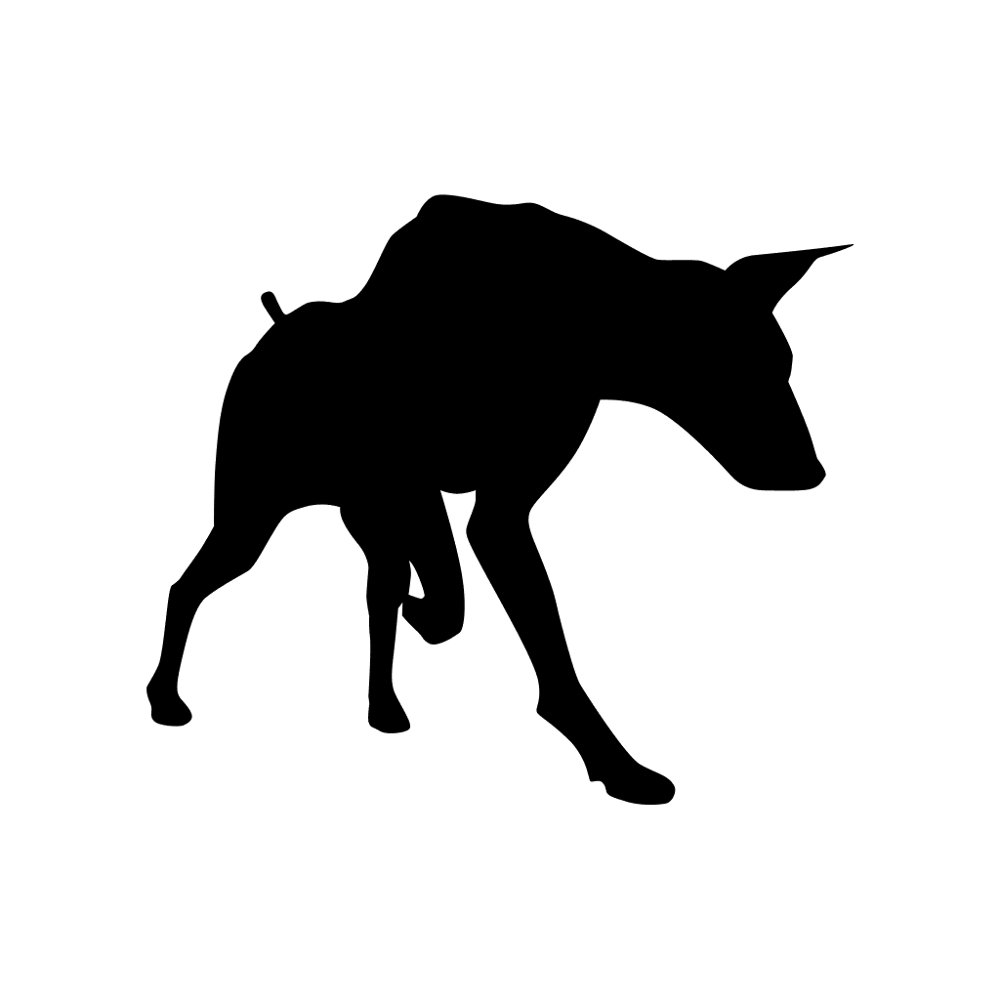 Doberman