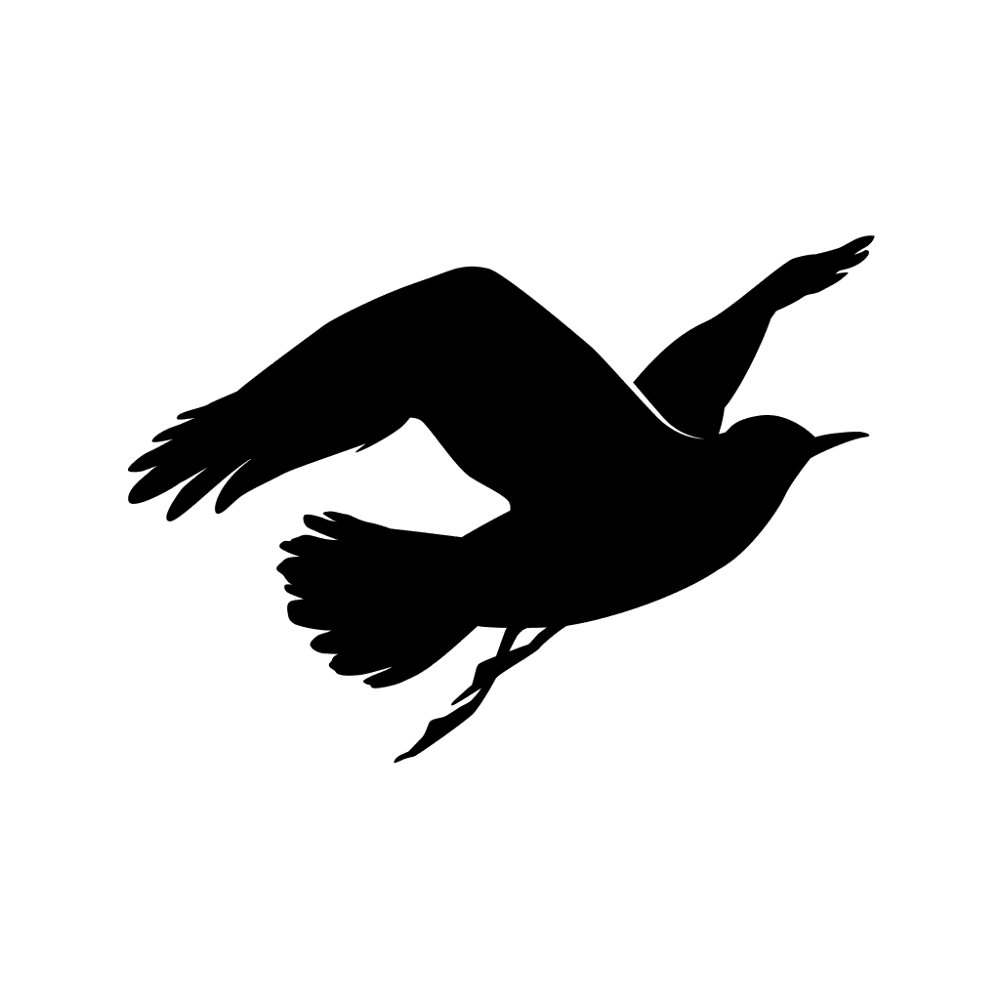 Gull