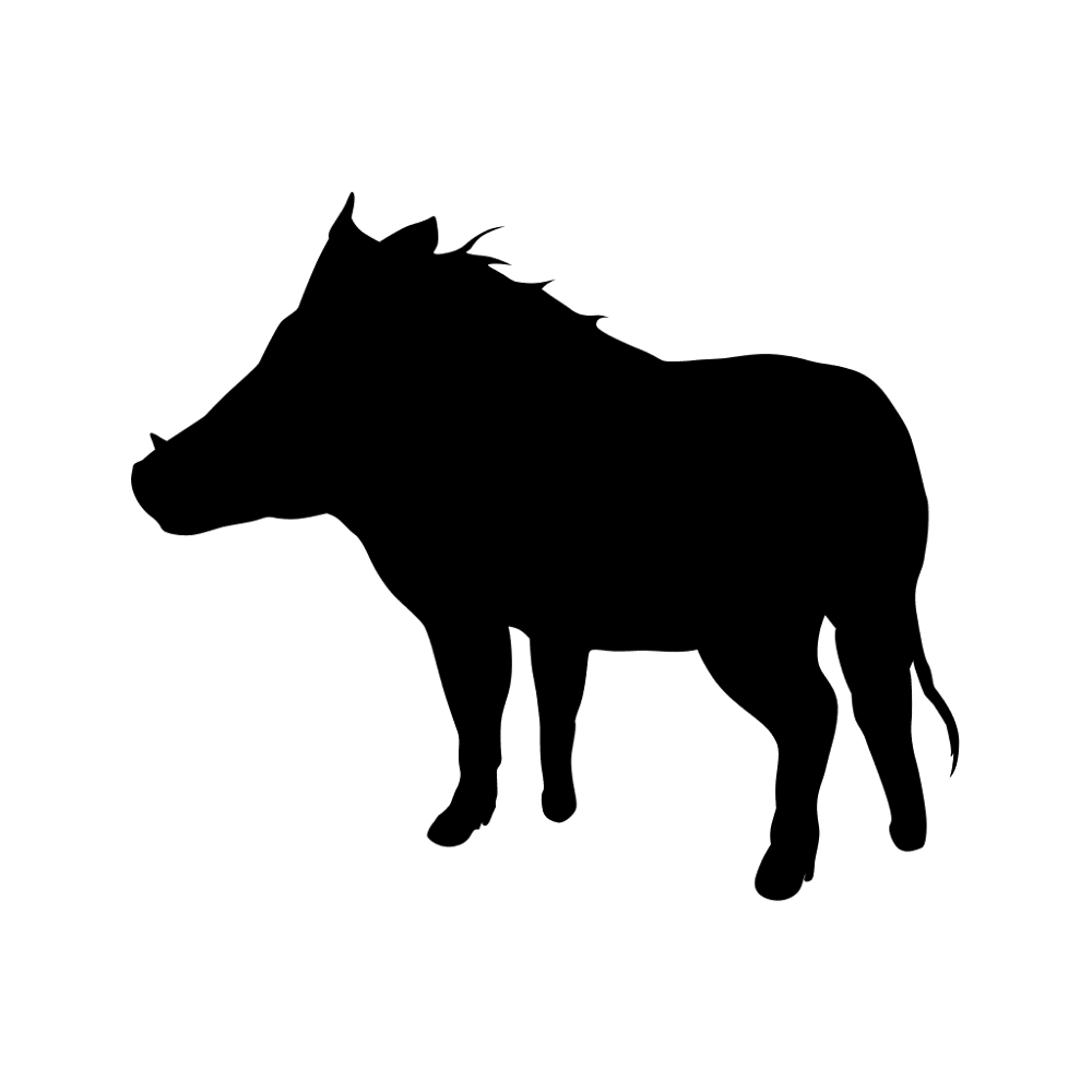 Hog
