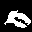 [Image: flying%20fox.gif]