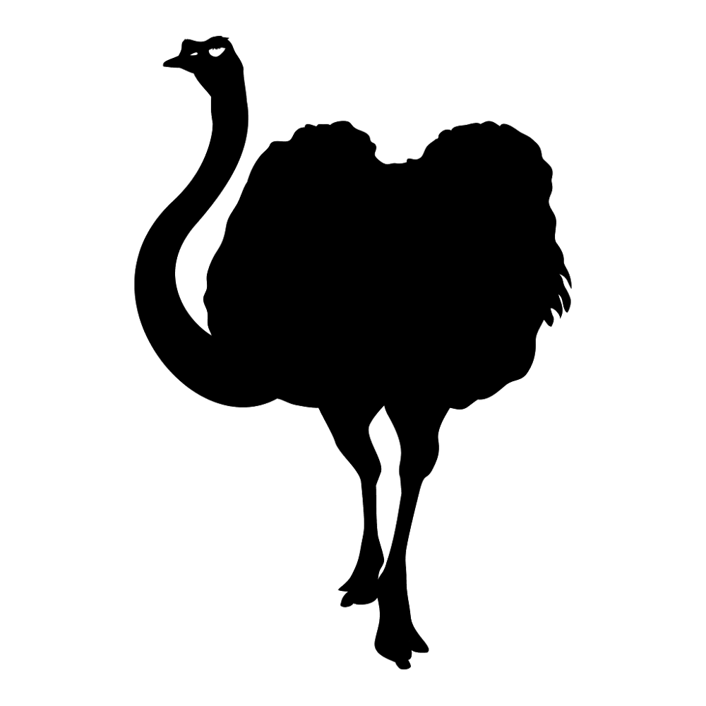 Ostrich