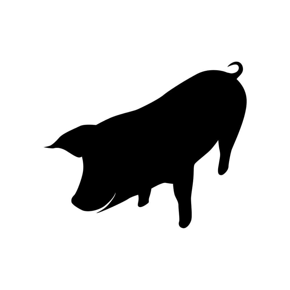Pig