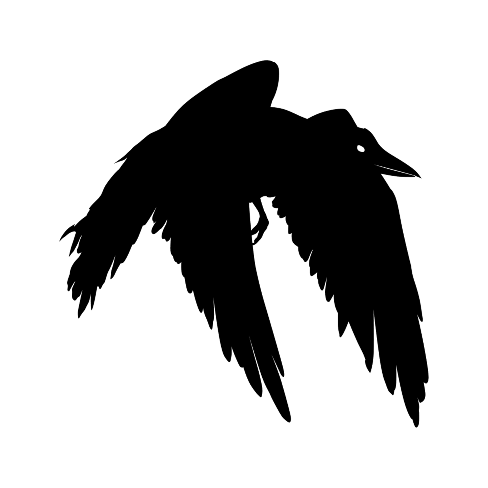 Raven