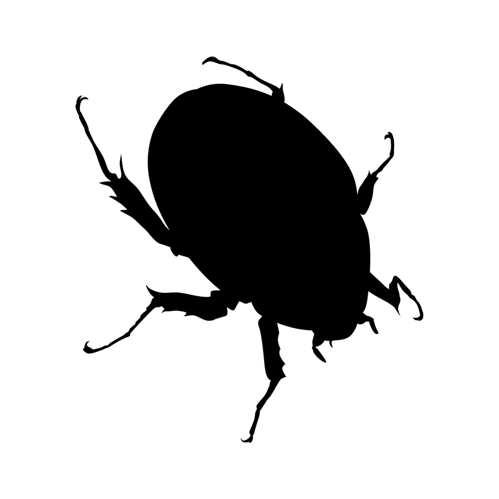 Scarab