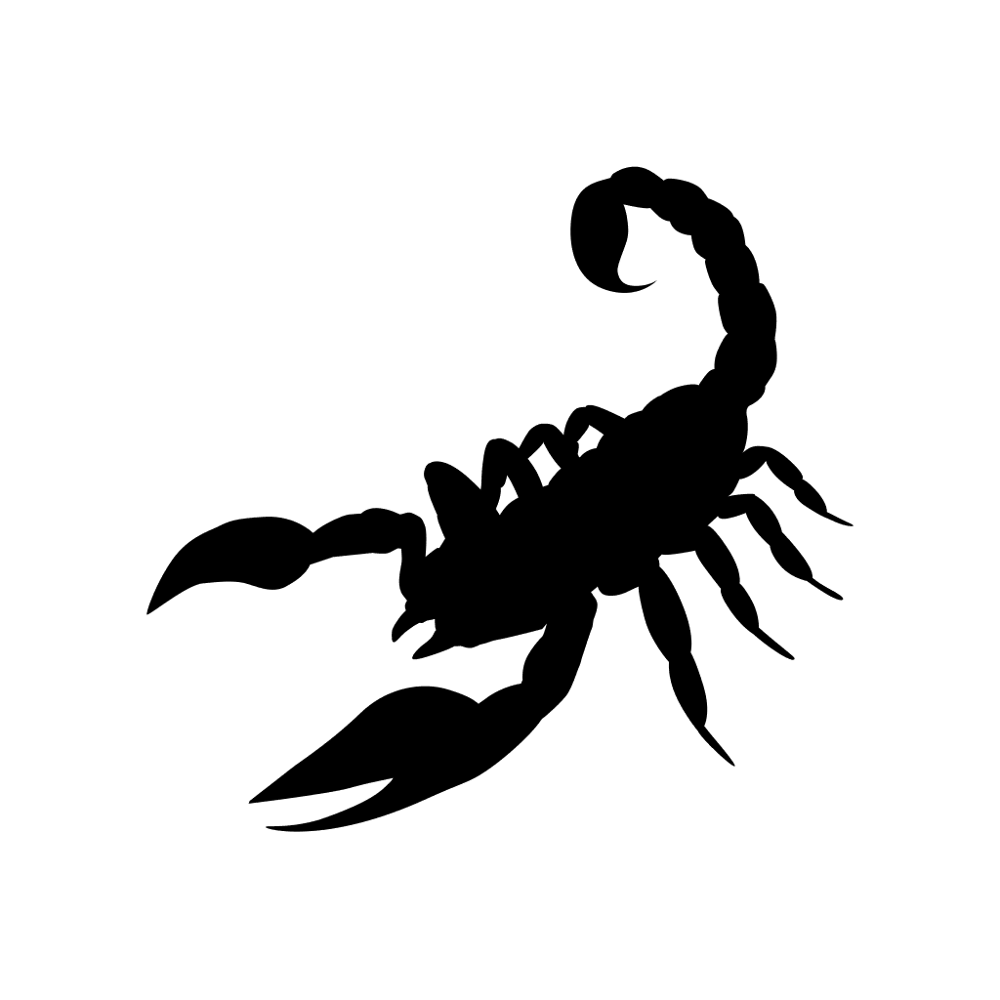 Scorpion