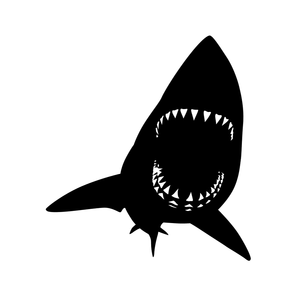 Shark
