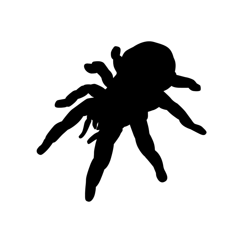 Tarantula