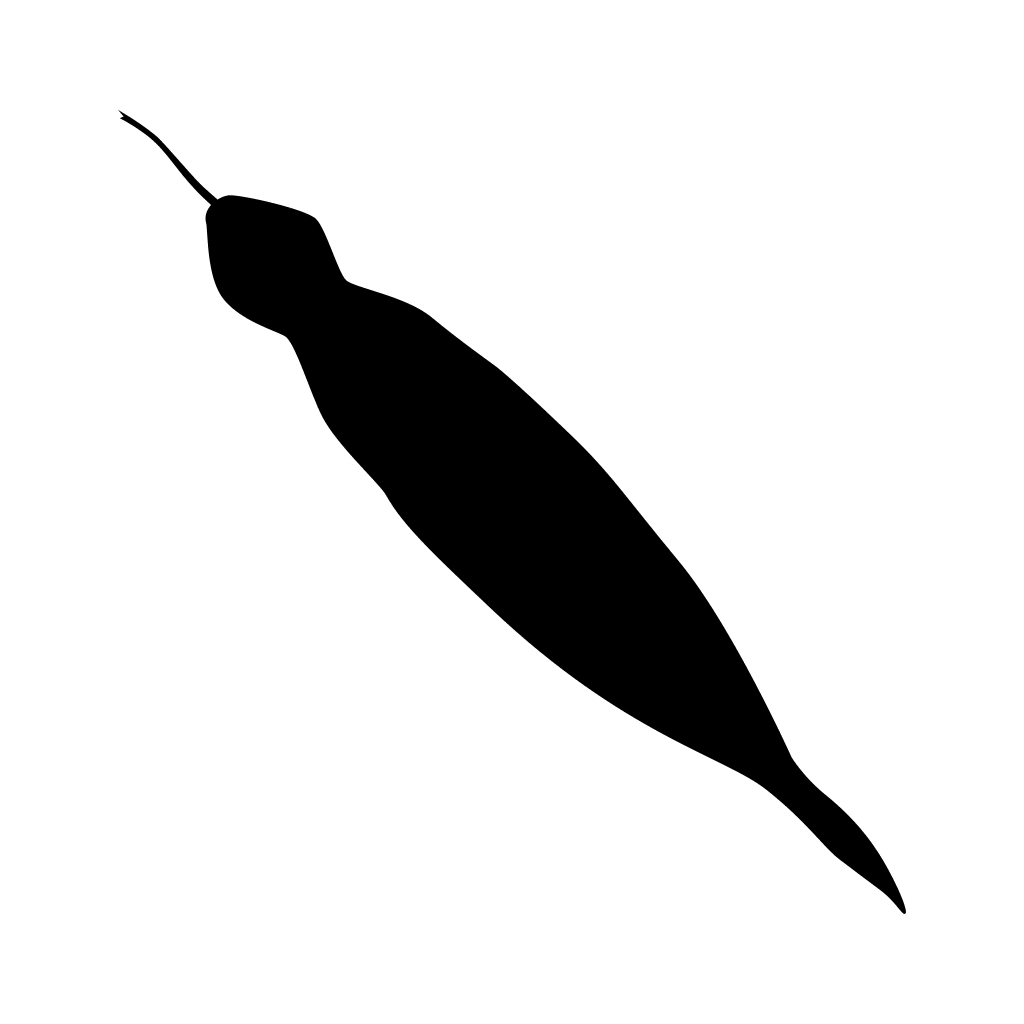 Tsuchinoko
