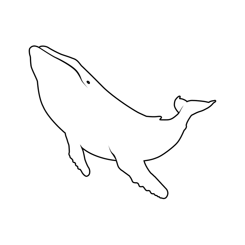 White Whale